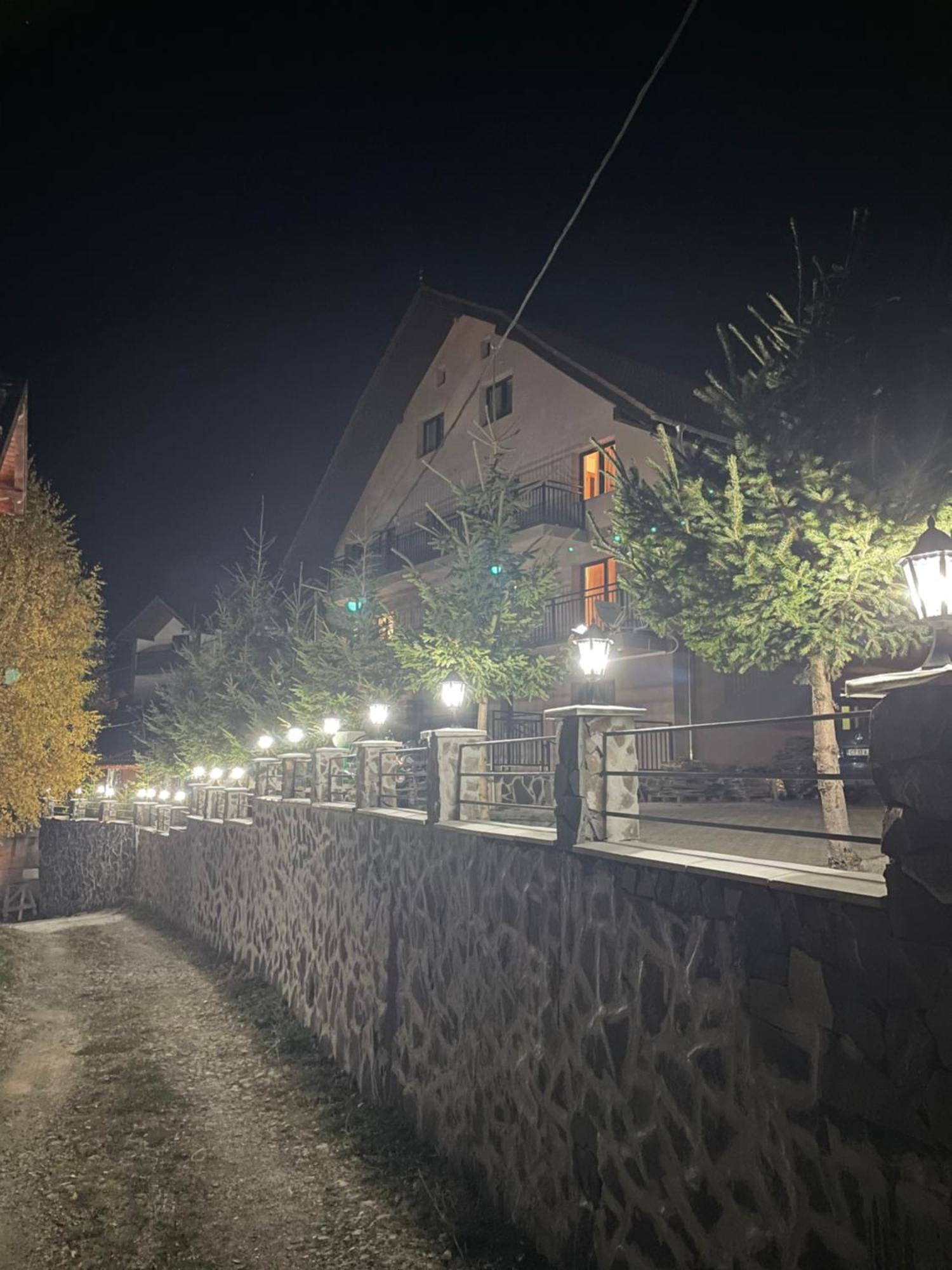 Pensiunea Joe Păltiniş Zewnętrze zdjęcie